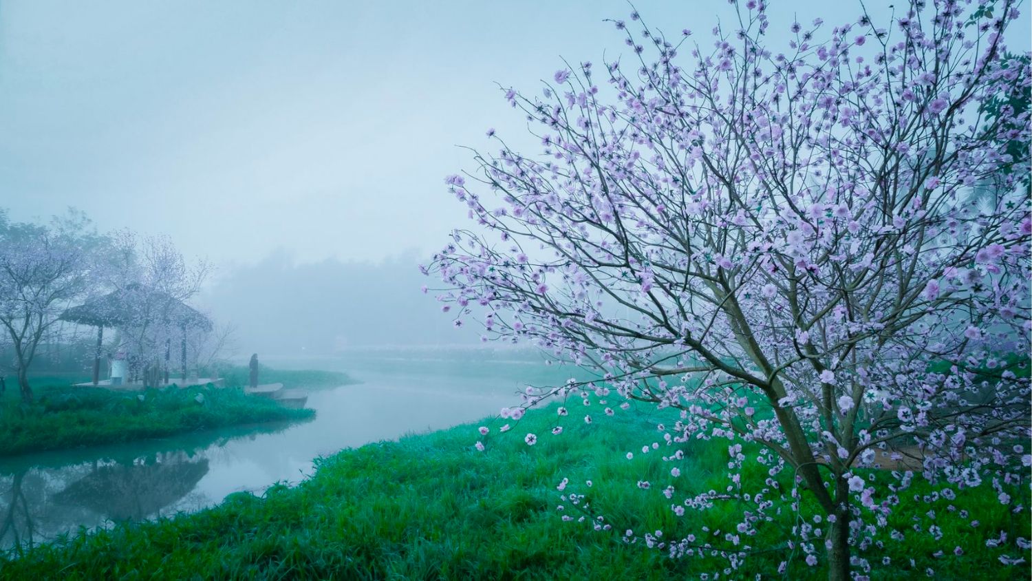 Khung cảnh Thủy Hoa Viên