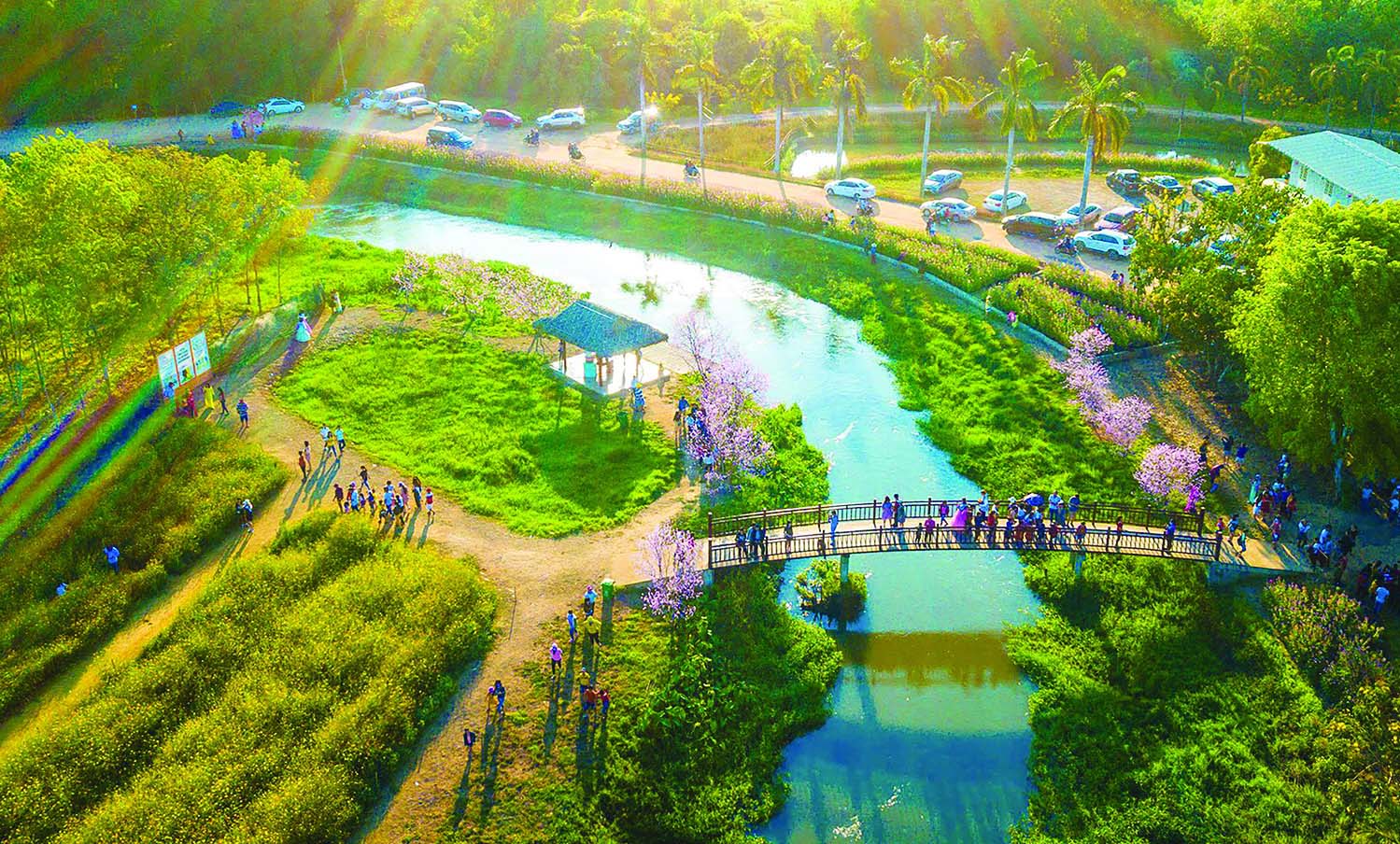 Khuôn viên Thủy Hoa Viên