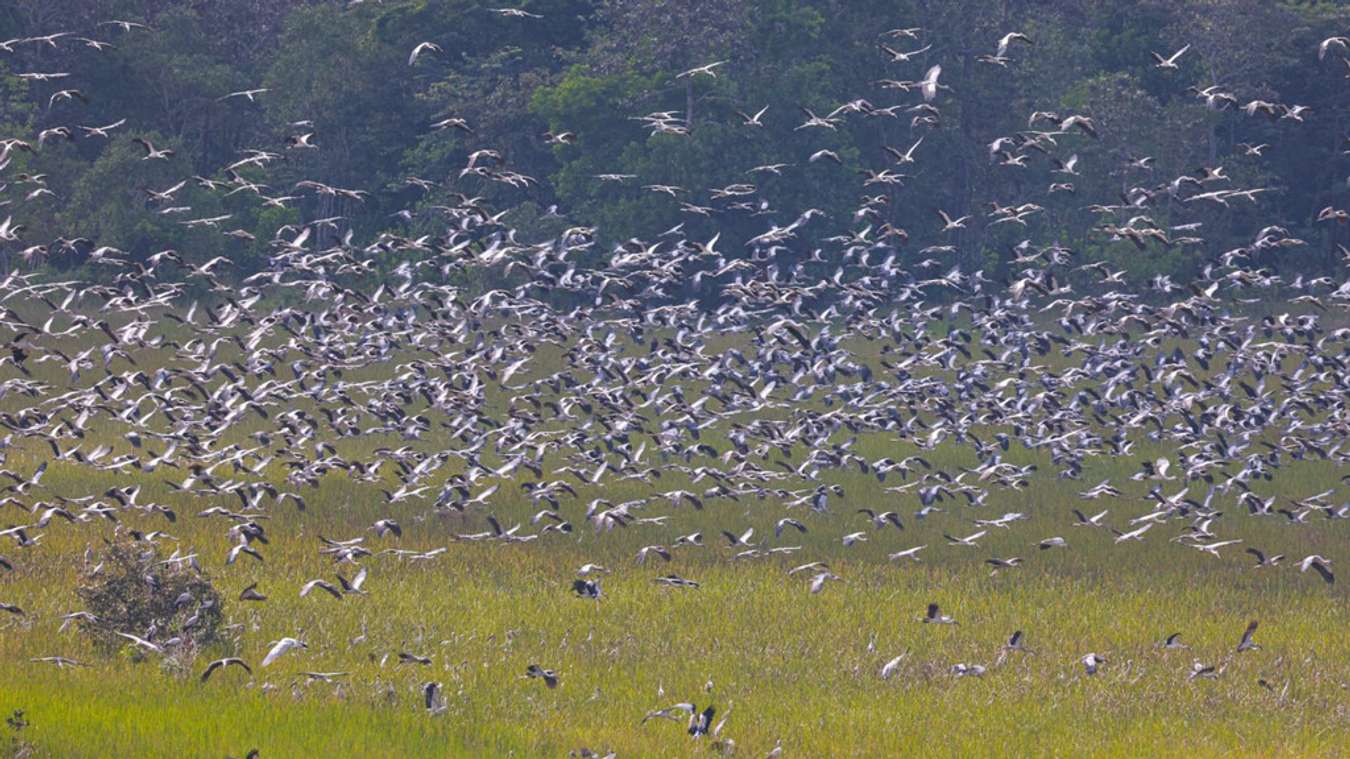 Kinh nghiệm khám phá vườn quốc gia Lò Gò Xa Mát