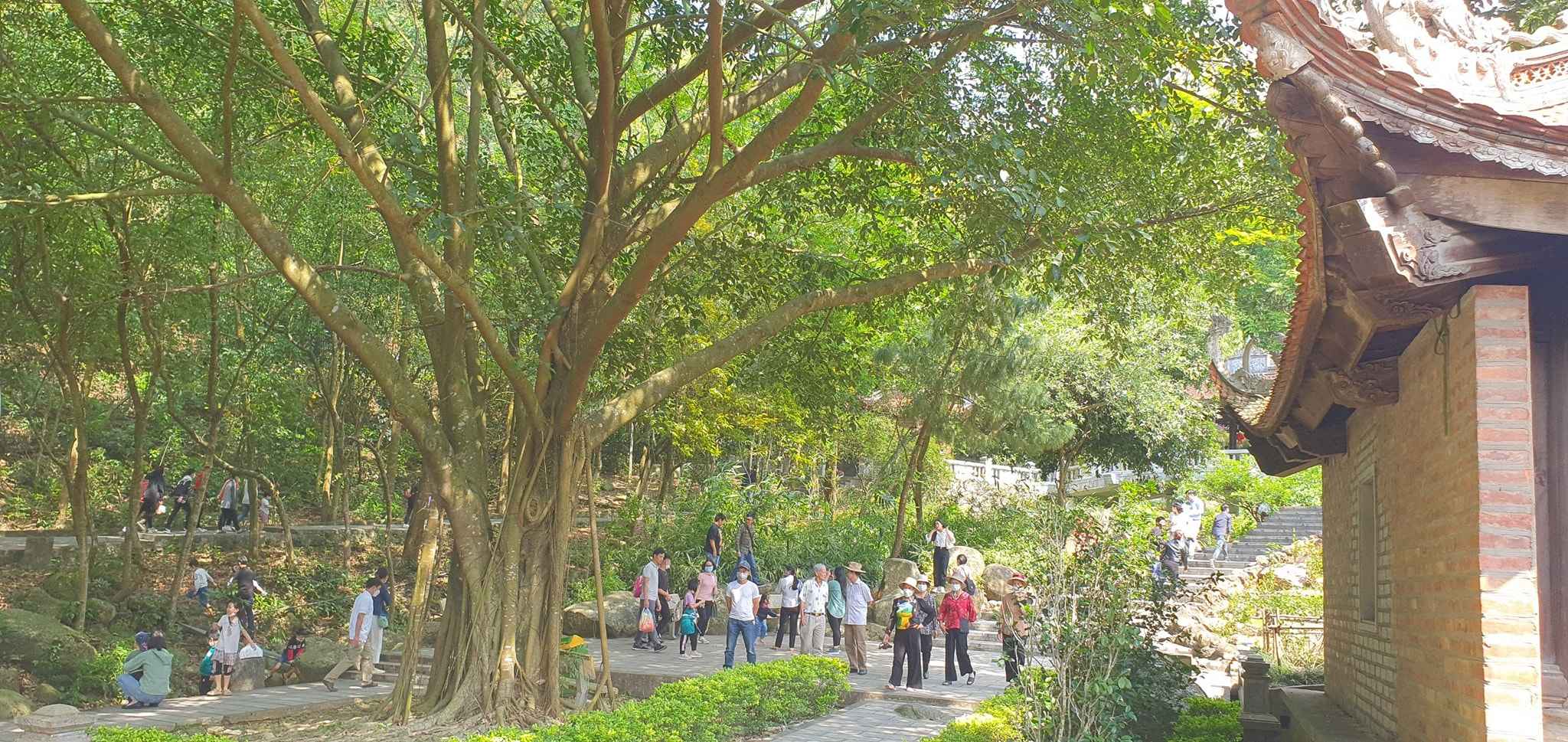 Lịch trình đi Côn Sơn - Kiếp Bạc