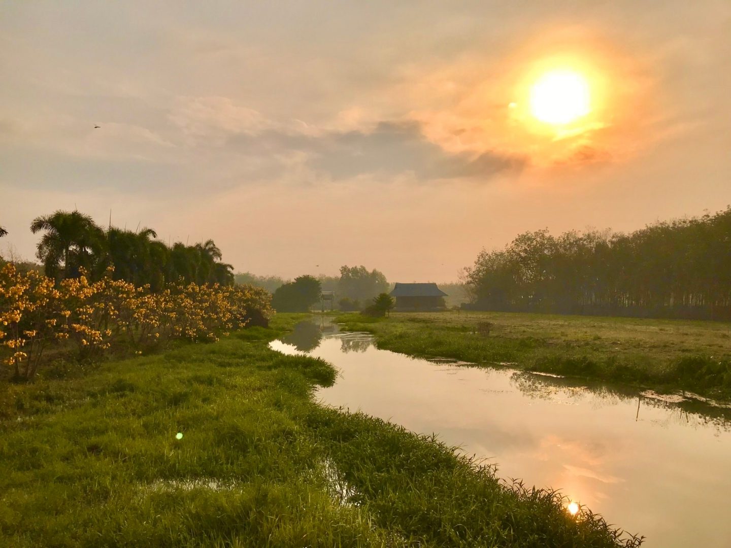 Lưu ý khi đến Thủy Hoa Viên