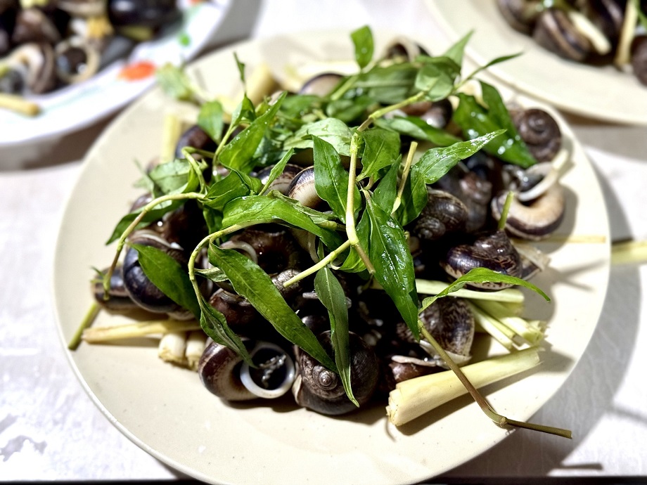 Ốc núi Tây Ninh quán Cô Nga Đồi Xanh