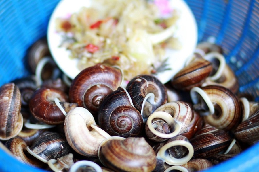 Ốc núi Tây Ninh hấp gừng