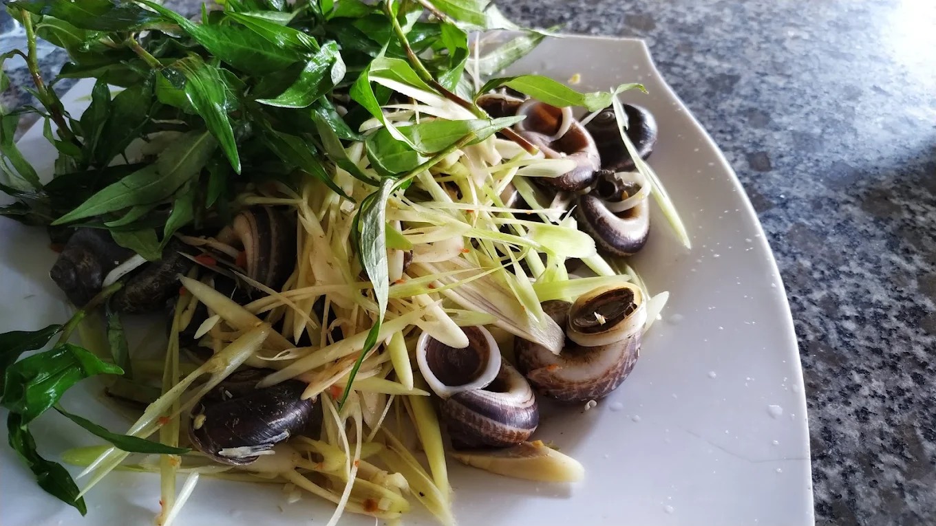 Ốc núi Tây Ninh quán Cây Phượng K18