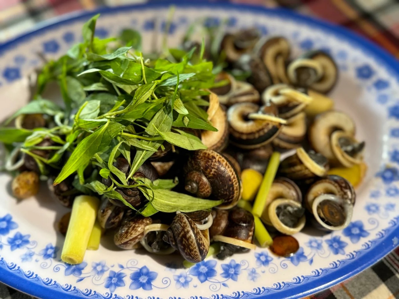 Ốc xu núi Bà quán Suối Môn