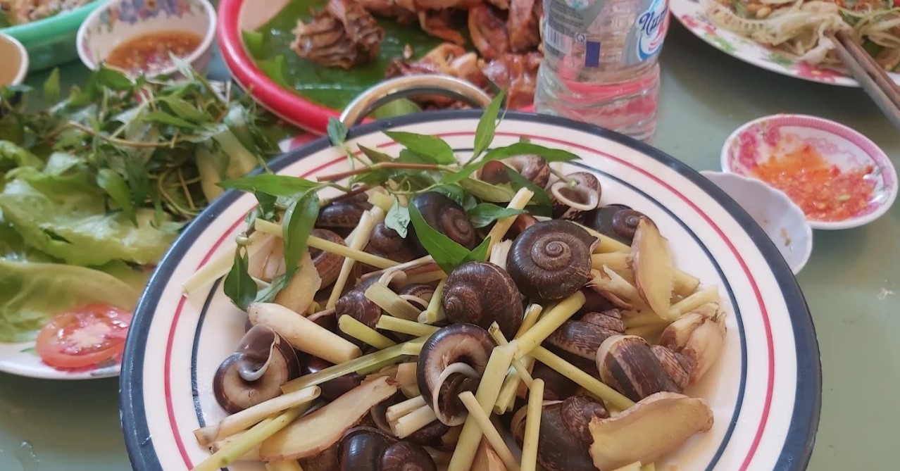 Ốc núi Tây Ninh quán Thu Sang