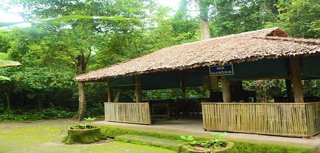 Rừng Chàng Riệc: Điểm đến thiên nhiên, lịch sử thú vị ở Tây Ninh