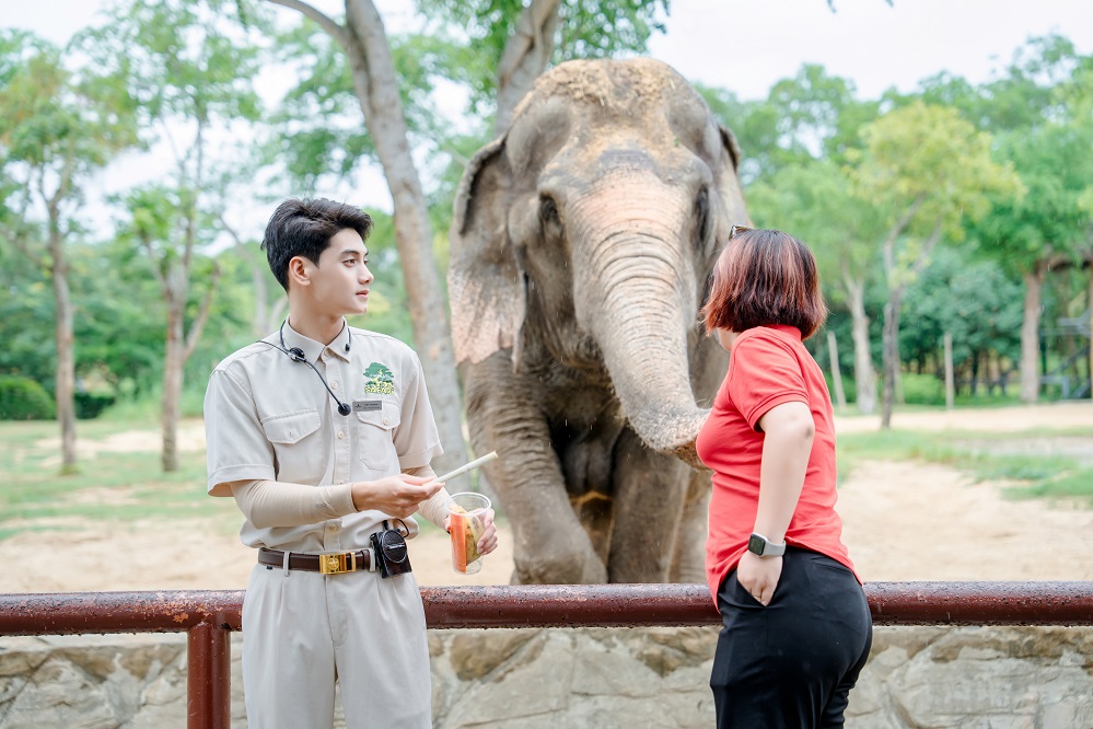 safari nam hoi an safari nam hoi an