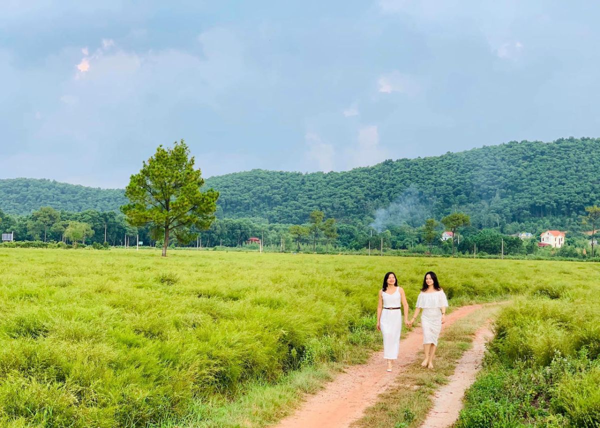 thoi diem dep den canh dong hoa re Thời điểm đẹp đến cánh đồng hoa rễ