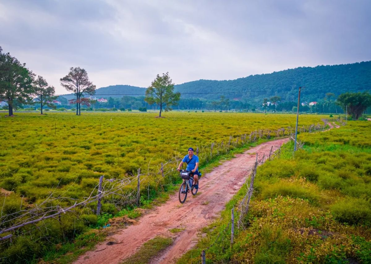 thu gian giua nhung hang cay re Thư giãn giữa những hàng cây rễ