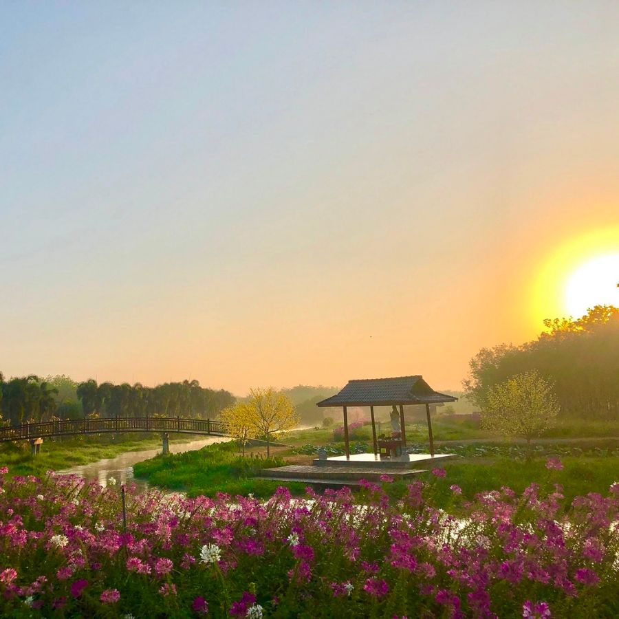 Thủy Hoa Viên Tây Ninh