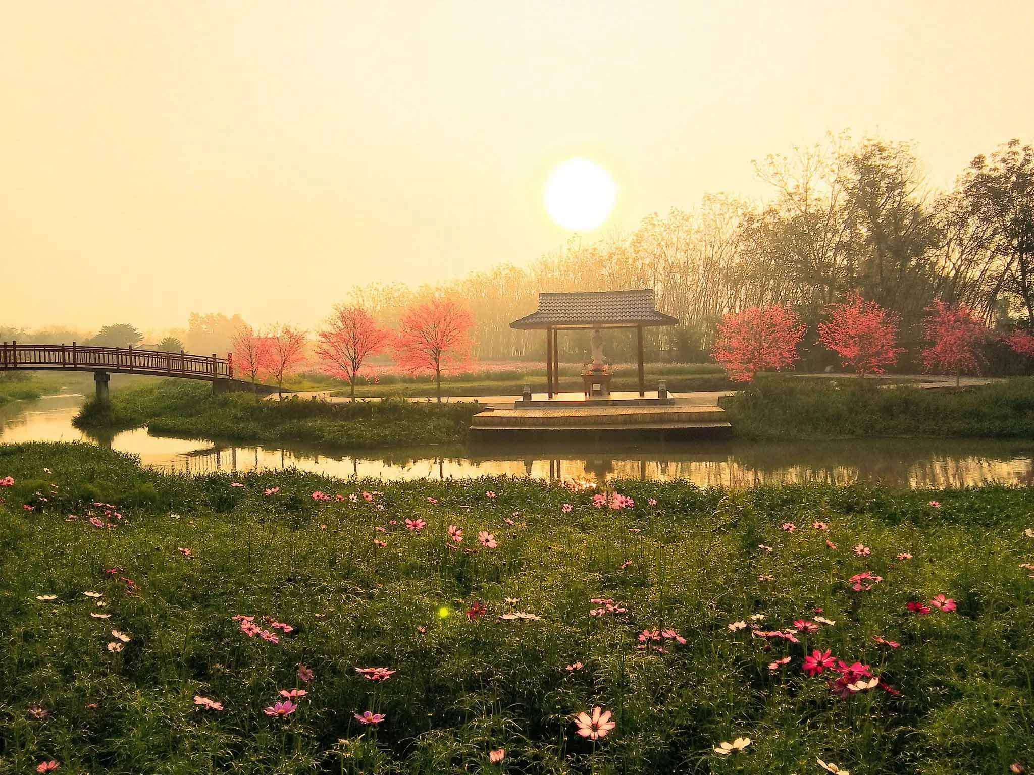 Thủy Hoa Viên Tây Ninh