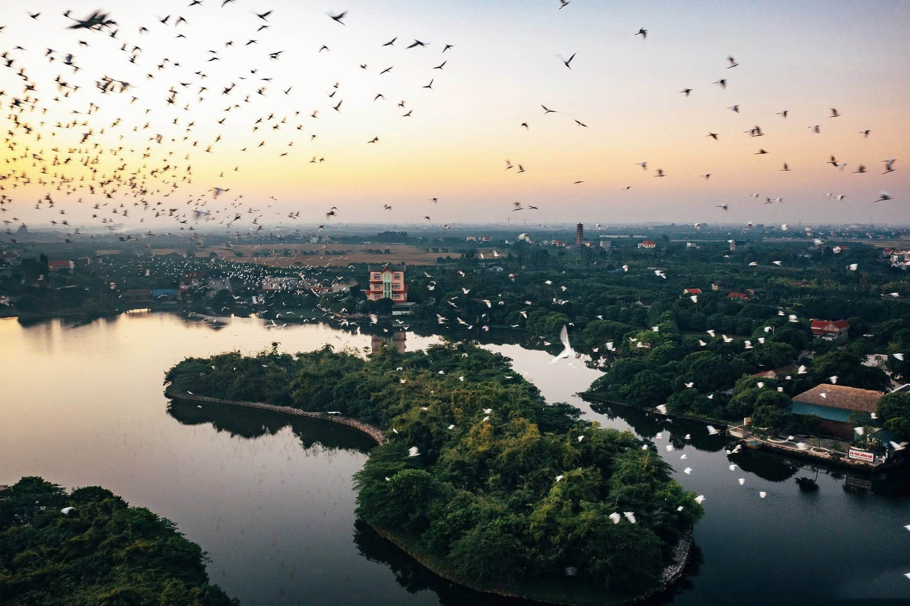 Đảo Cò Chi Lăng Nam Vị trí Đảo Cò Chi Lăng Nam