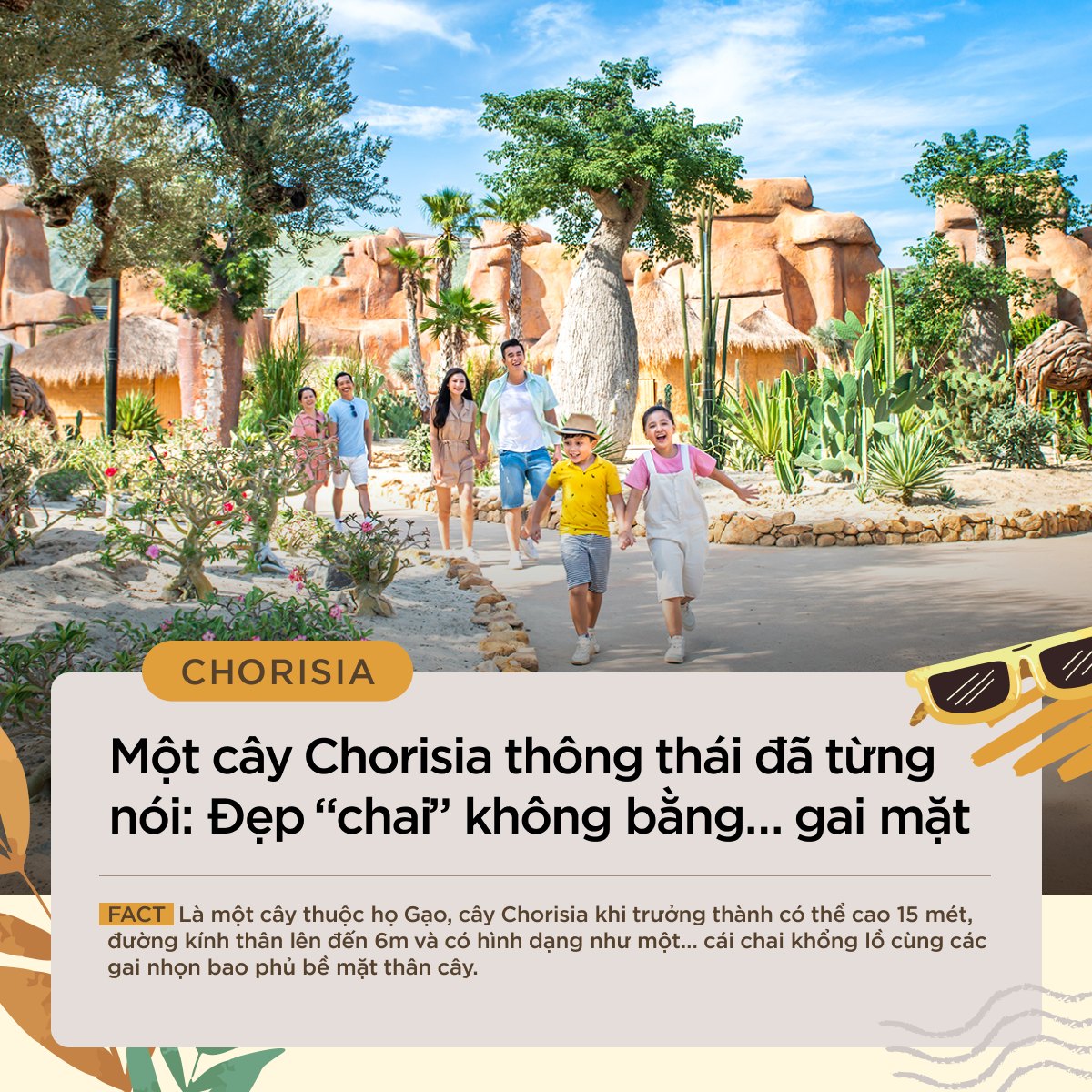 476158942 3935873186677277 2219769446291787693 n