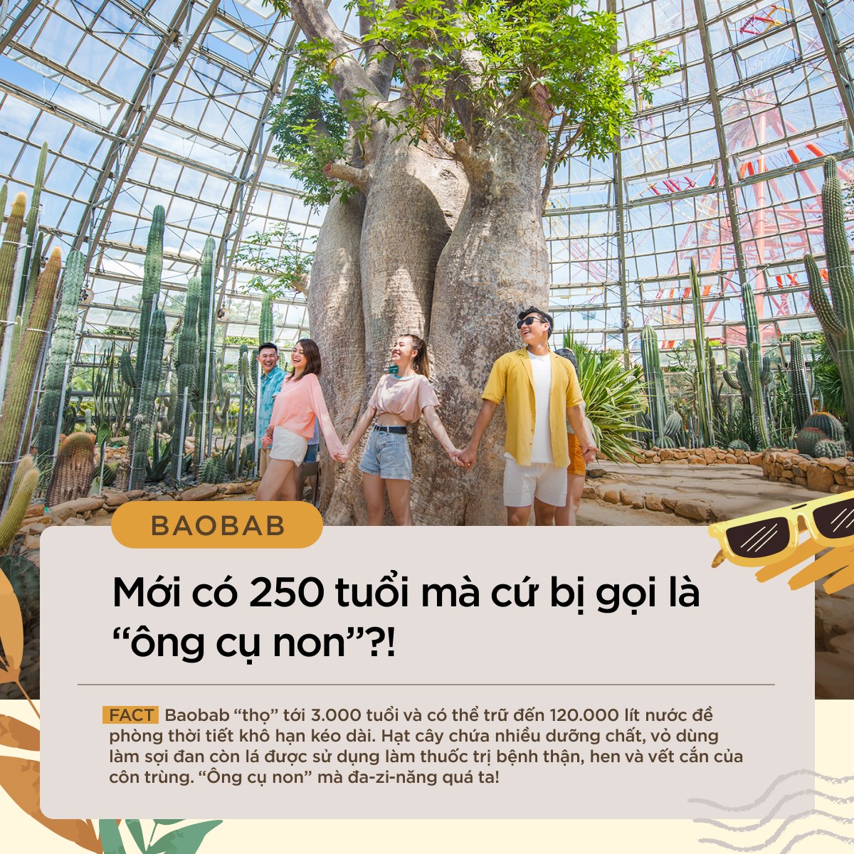 476354798 3935873250010604 2716180724259159156 n