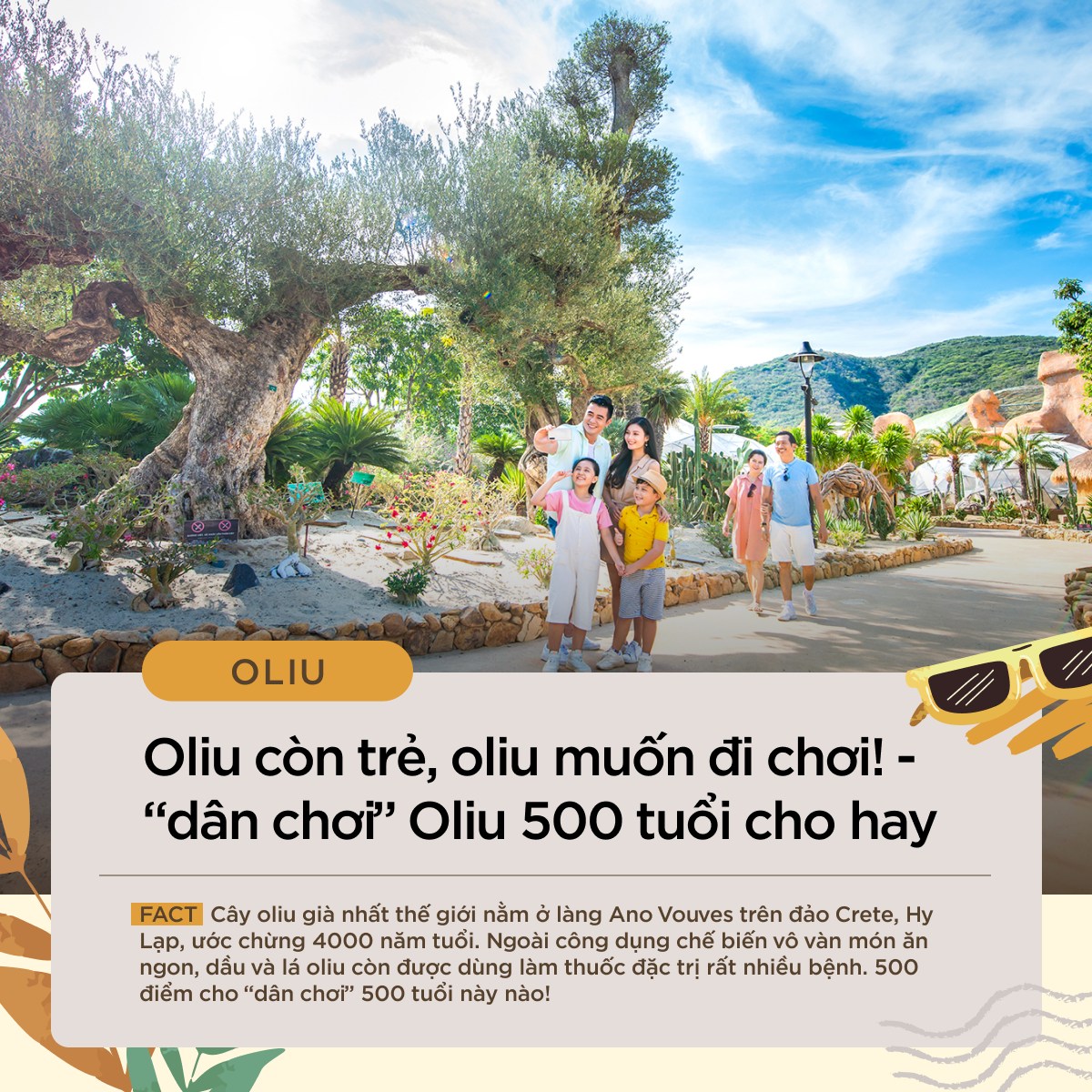 476645338 3935873560010573 8264836202414612559 n