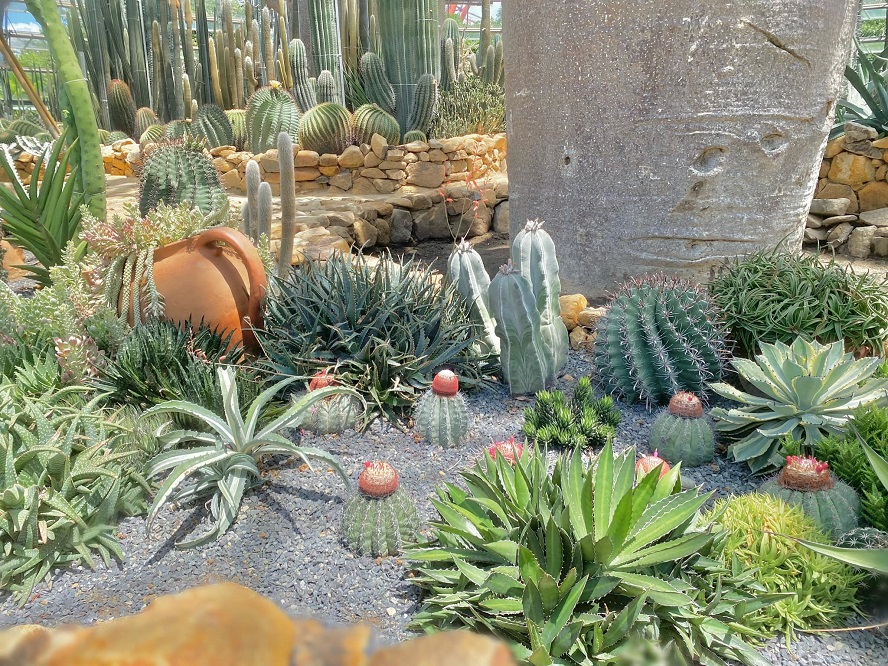 481257130 1059632966208601 5174129131098850310 n