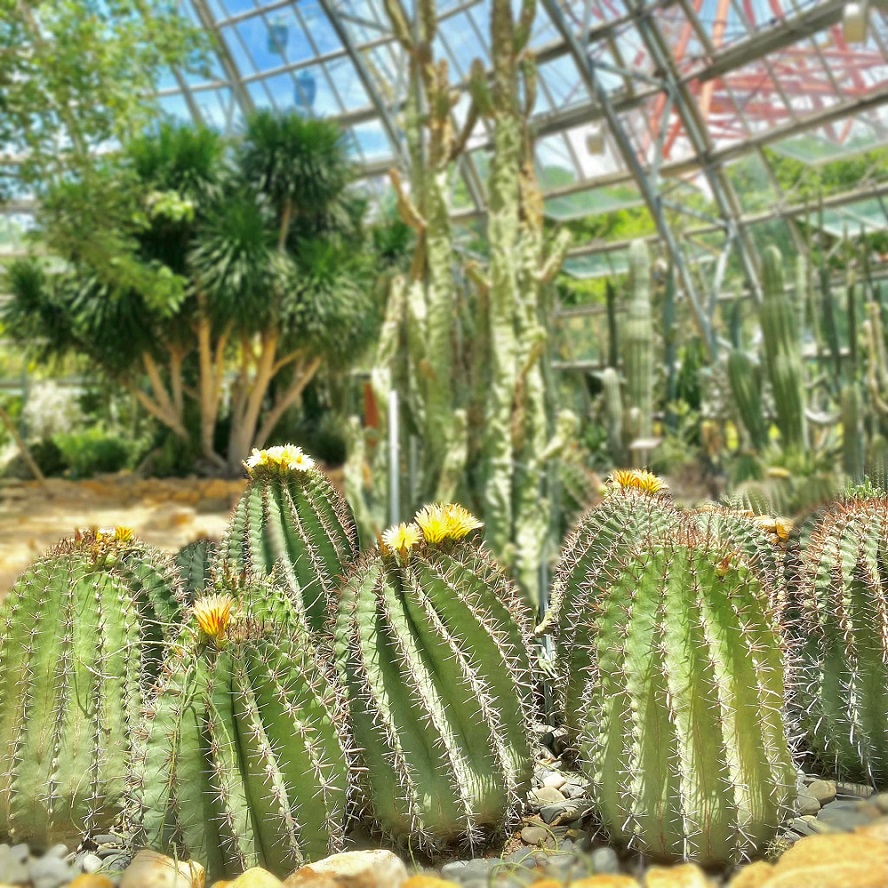 481667928 1059633002875264 1471504453275970459 n