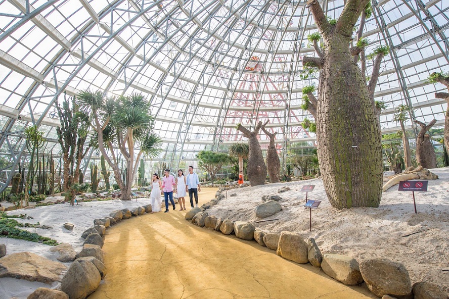 53805024 2237461933185086 8752357881333940224 n