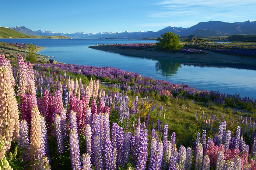 New Zealand one of the best countries to visit in November from India