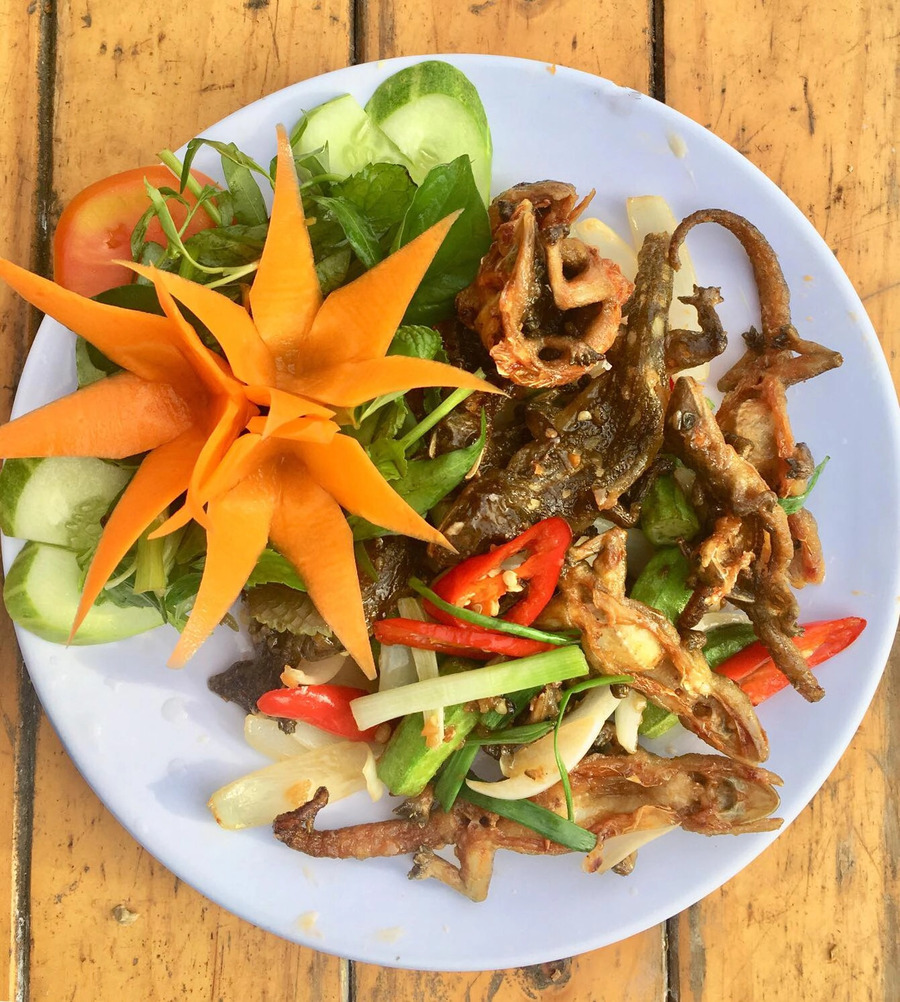 Ăn gì ở Tây Ninh Thằn lằn núi Tây Ninh