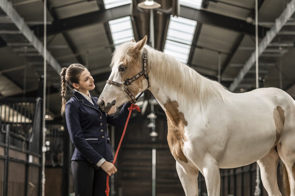 Vu Yen Island Vinpearl Horse Academy