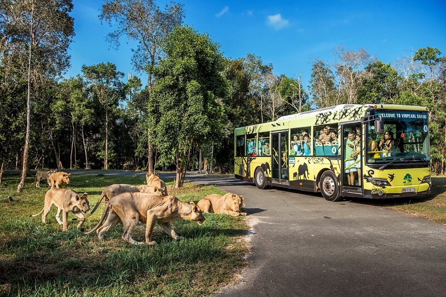 best honeymoon destinations in Southeast Asia Vinpearl Safari Phu Quoc offers a romantic twist on wildlife exploration