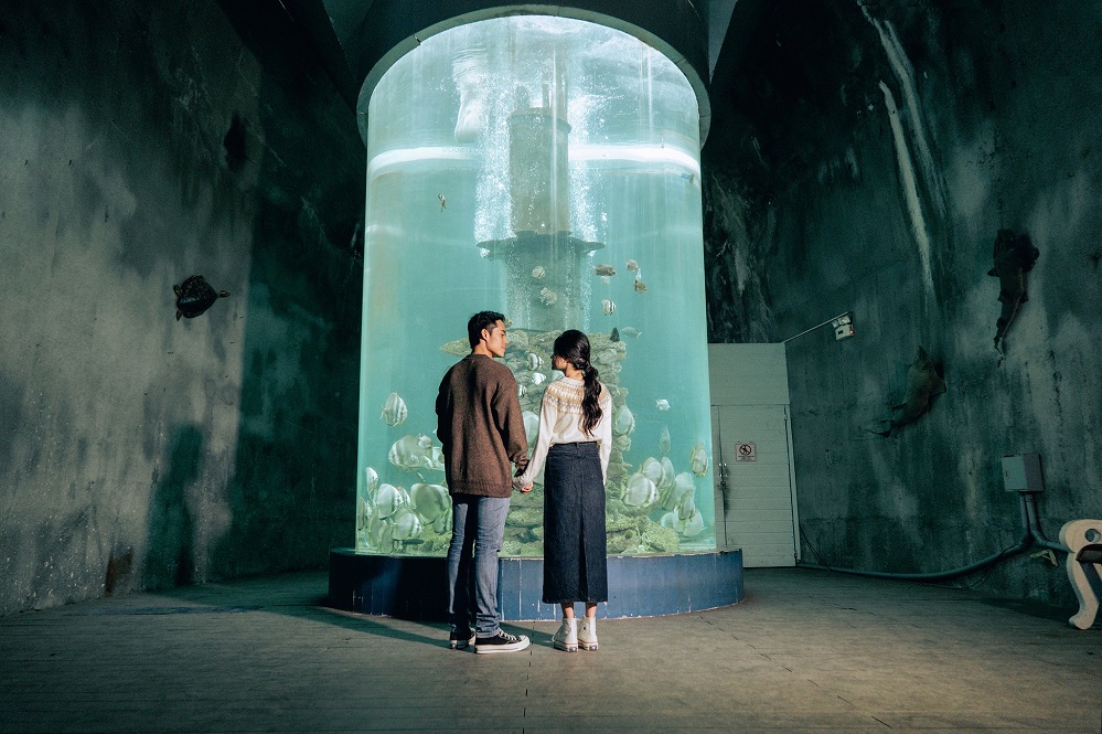 bao tang hai duong hoc