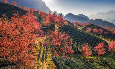 A list of the 23 best countries to visit in January from India