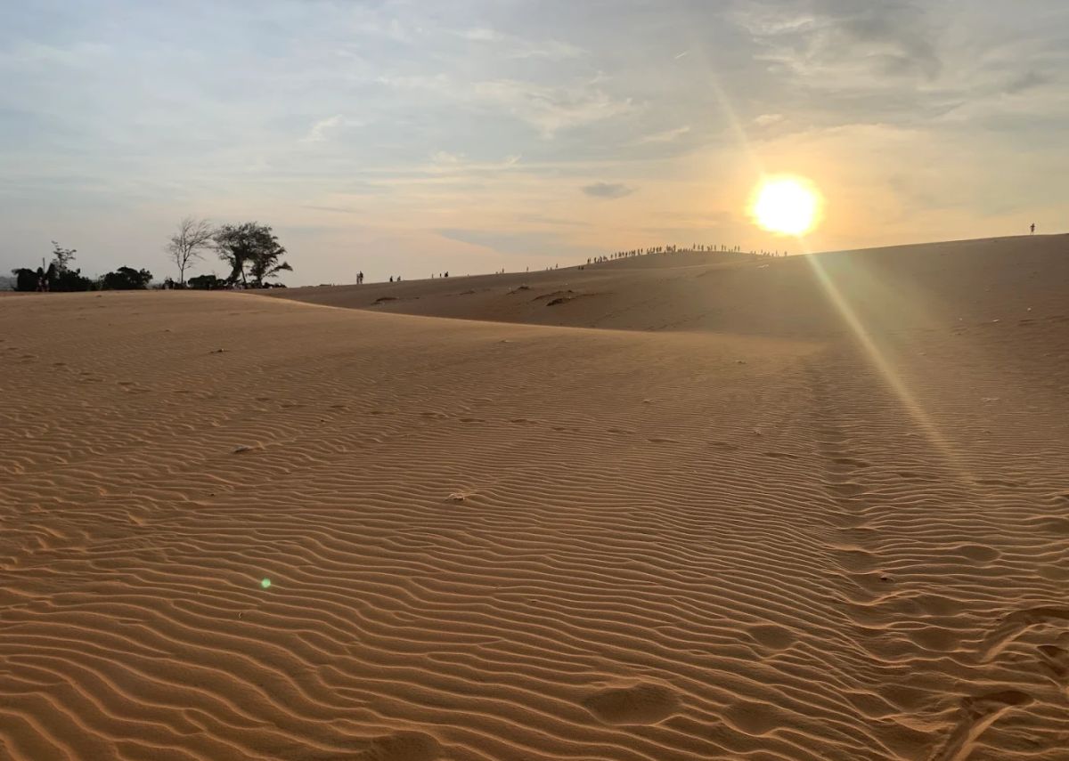 Đồi Cát Đỏ Chiêm ngưỡng Đồi Cát Đỏ ở Lâm Đồng