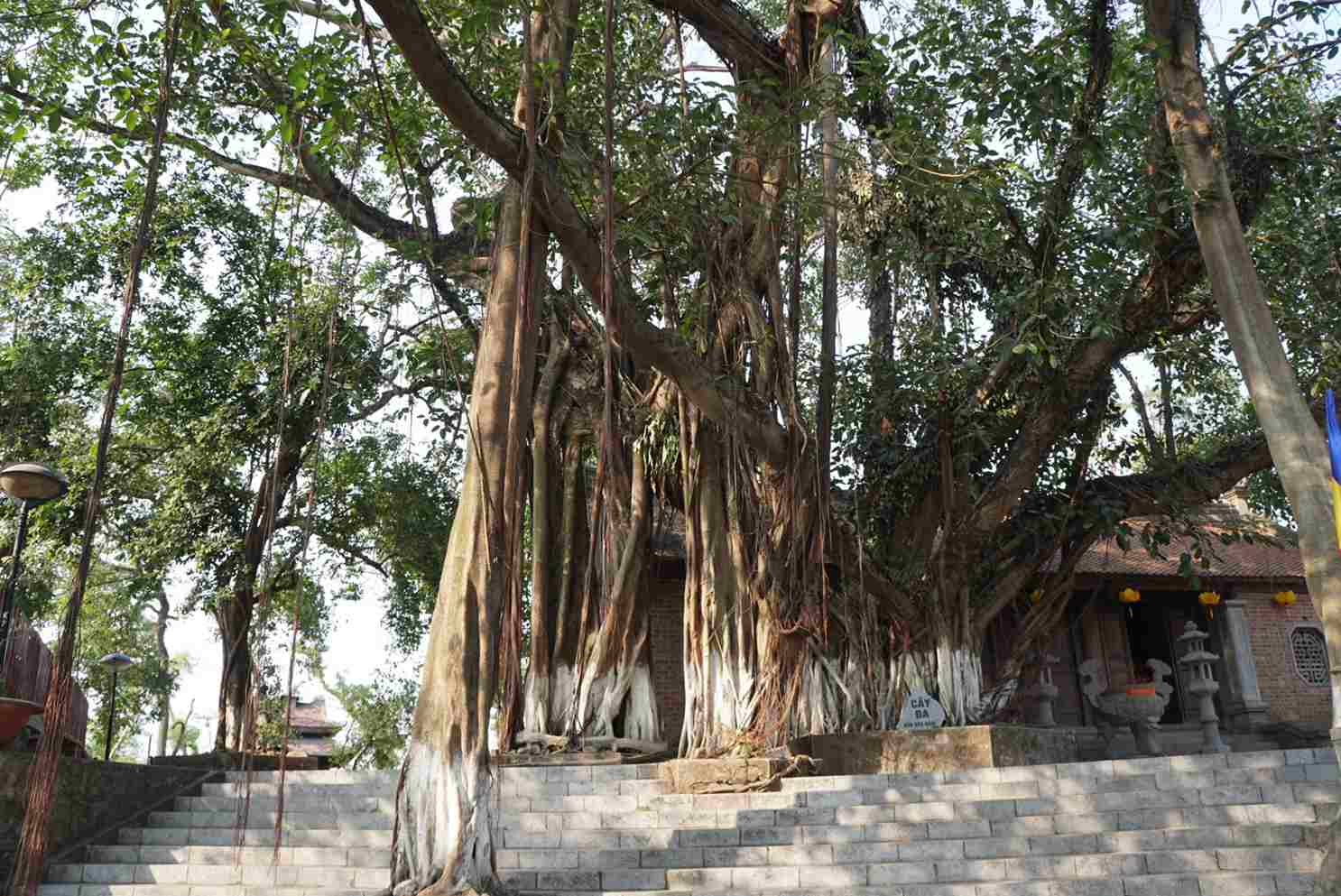 Chùa Tường Vân đền Cao An Phụ