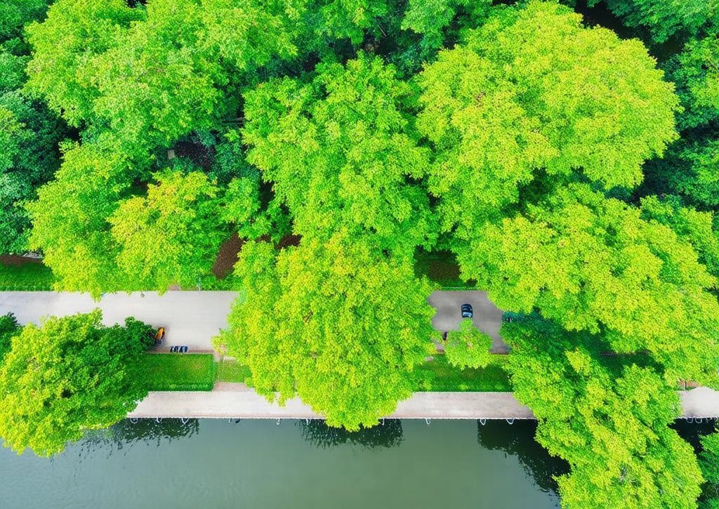 Khu vui chơi Bắc Ninh Công viên Nguyễn Văn Cừ Bắc Ninh