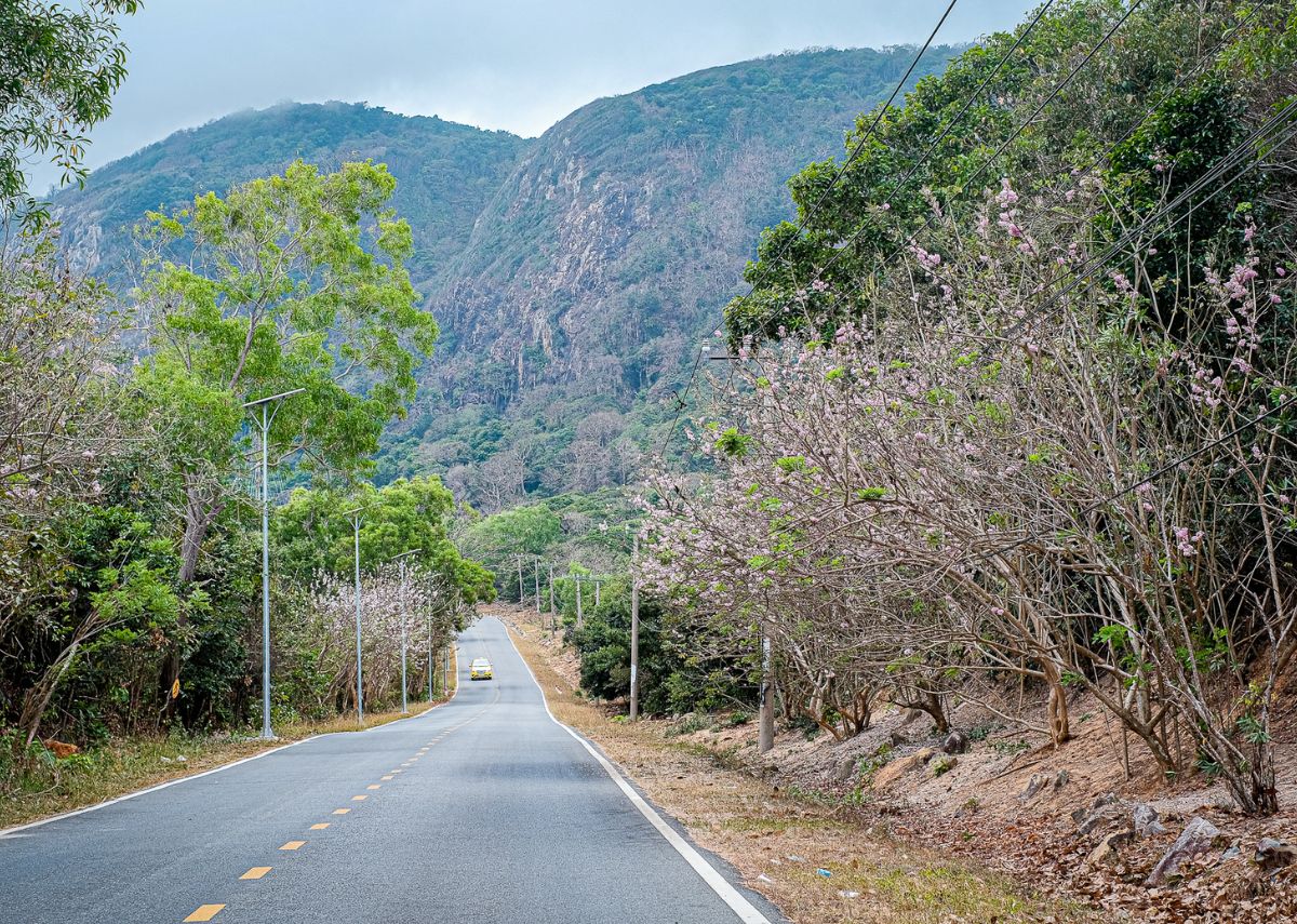 Cung đường Đầm Trấu - Bến Đầm