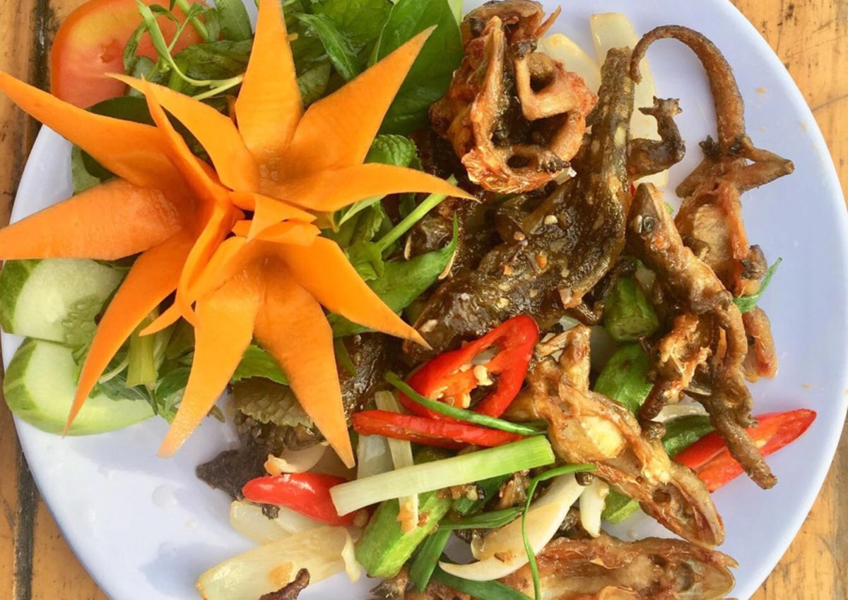 Thằn lằn núi Tây Ninh Đặc sản thằn lằn núi Tây Ninh