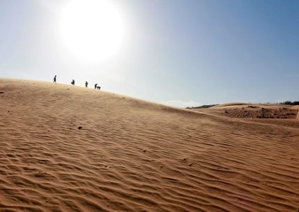 Kinh nghiệm đi Đồi Cát Đỏ: “Tiểu sa mạc” độc đáo ở Mũi Né
