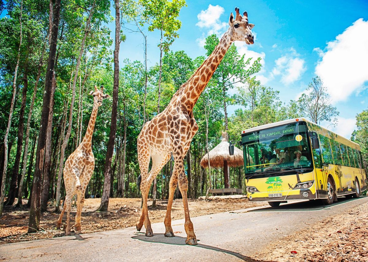 Ghé thăm Vinpearl Safari Phú Quốc