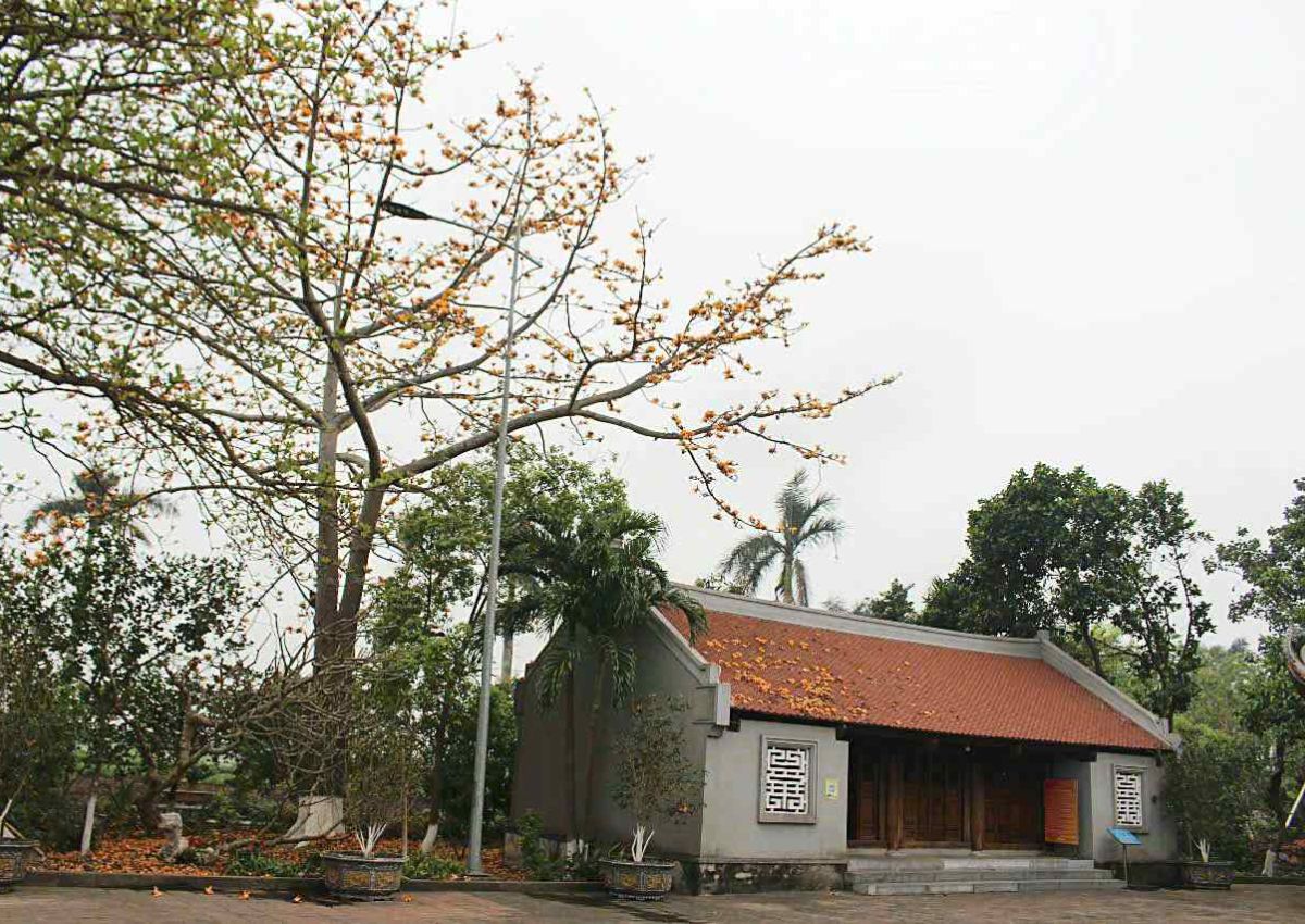 Không gian làng quê Hải Phòng thanh bình