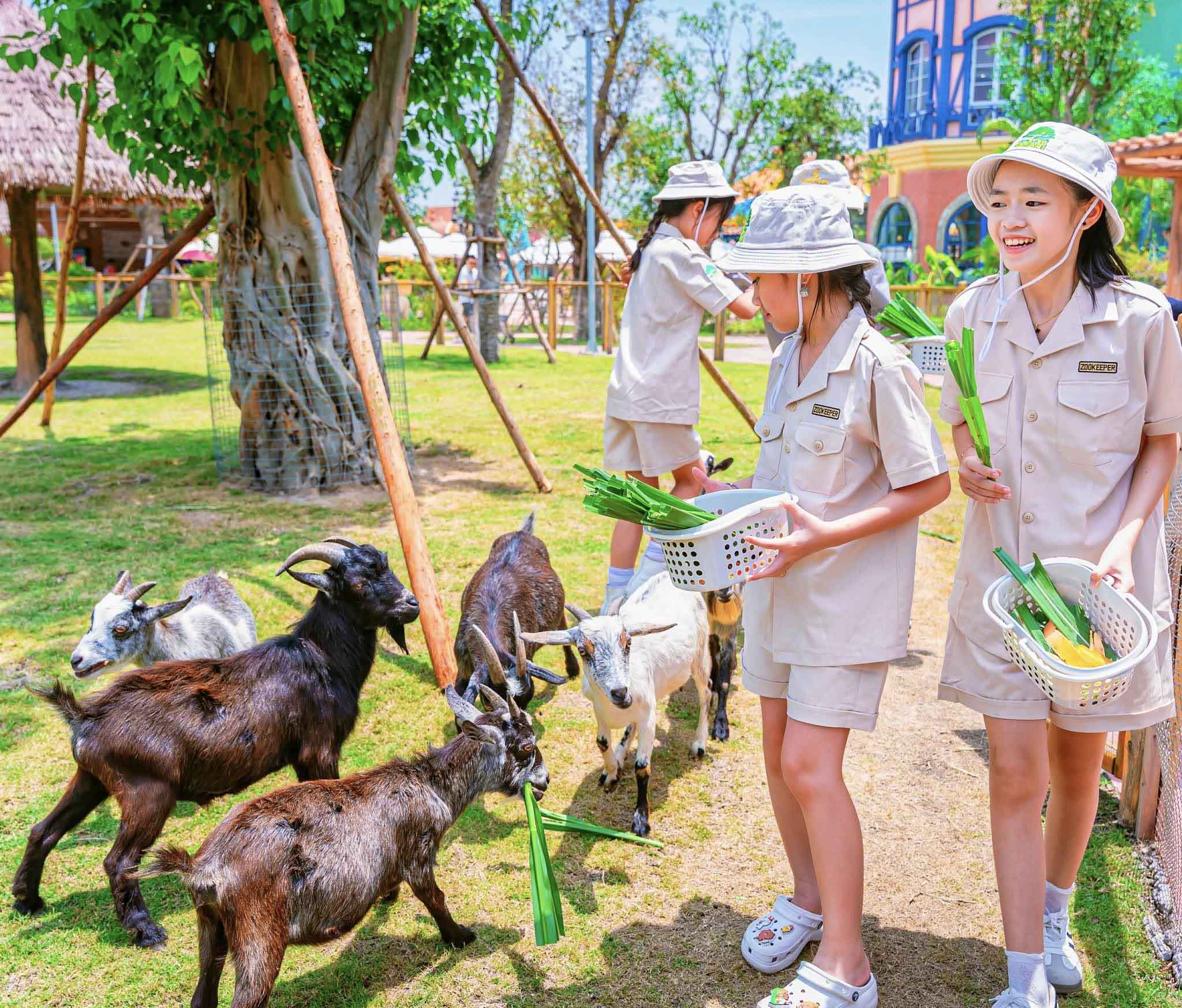 Khu KidZoo VinWonders Vũ Yên