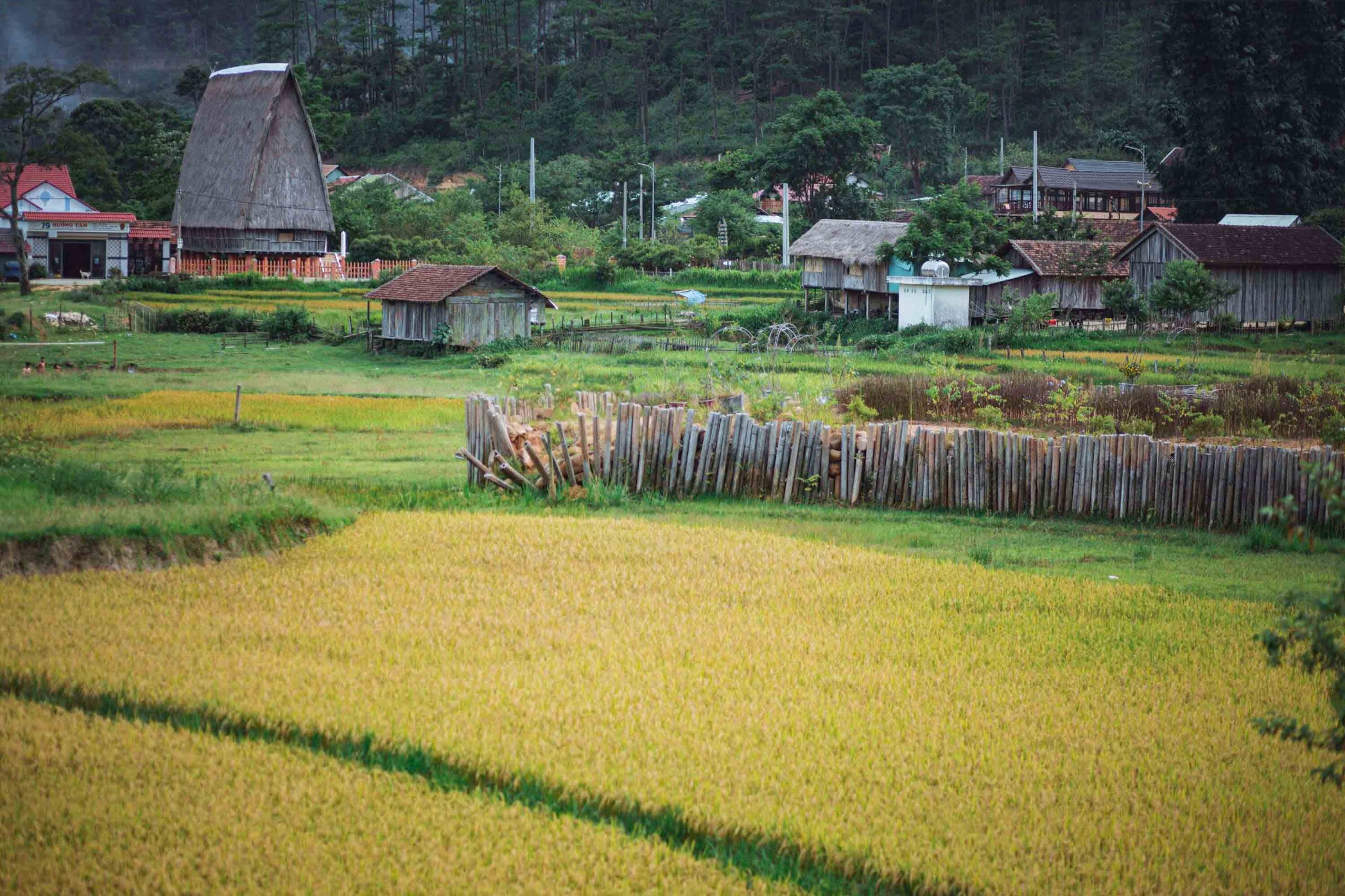 Làng Kon Pring Măng Đen