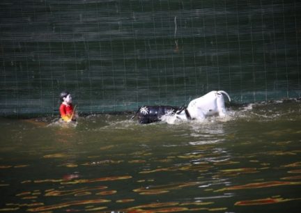 Làng rối nước Thanh Hải ở đâu? Có gì? Khám phá ngay!