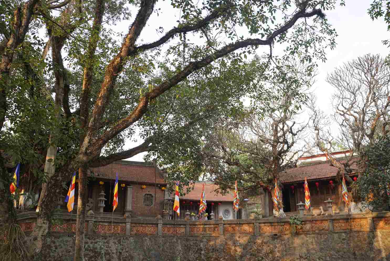 Lịch sử đền Cao An Phụ