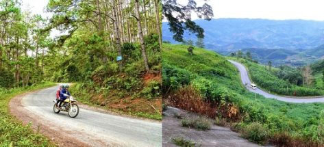 Cẩm nang phượt Măng Đen từ A-Z cho hành trình bỏ phố về rừng