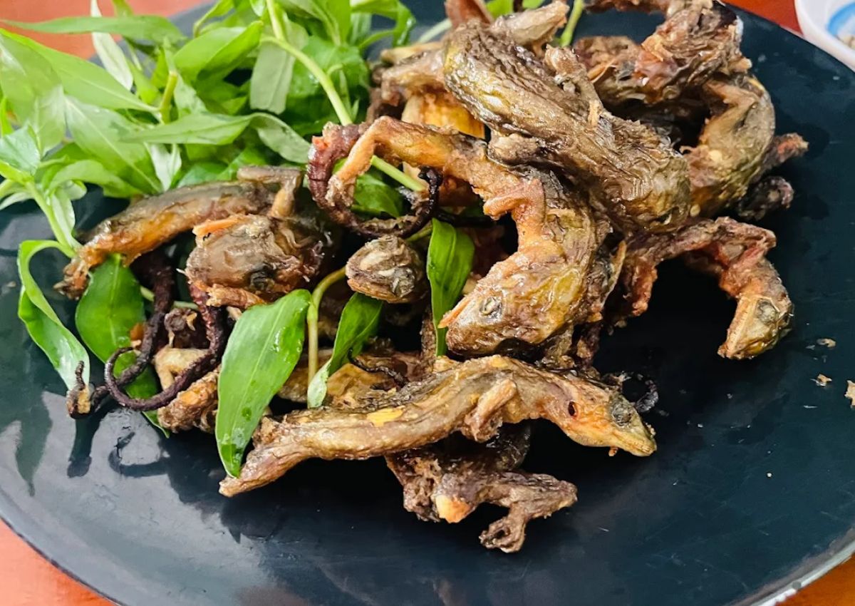 Thằn lằn núi Tây Ninh Quán ăn Đồng Quê Tây Ninh