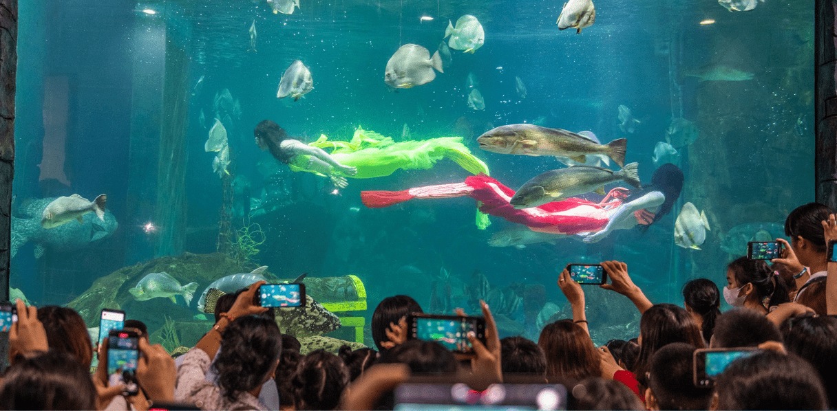 Thủy cung Vinpearl Aquarium Times City