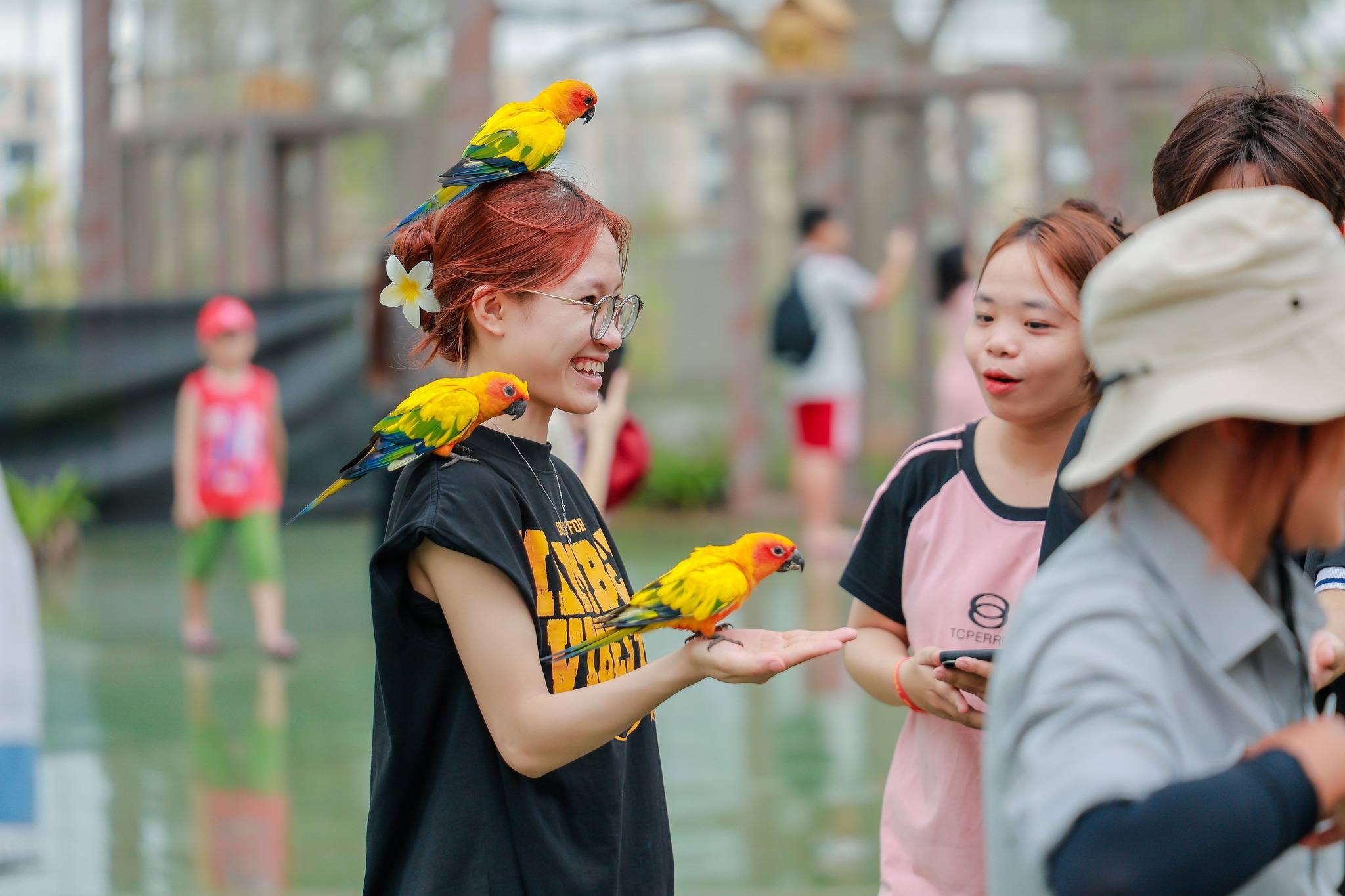 Tham quan Vương quốc muông thú ở VinWonders Vũ Yên