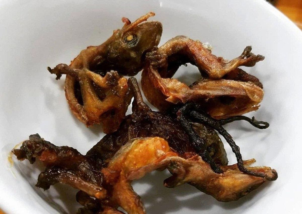 Thằn lằn núi Tây Ninh Thằn lằn núi chiên giòn