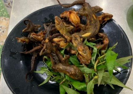 Thằn lằn núi Tây Ninh: Đặc sản độc đáo chỉ có ở núi Bà Đen