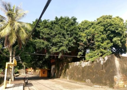 Thành cổ Bắc Ninh: Công trình quân sự tiêu biểu thời Nguyễn