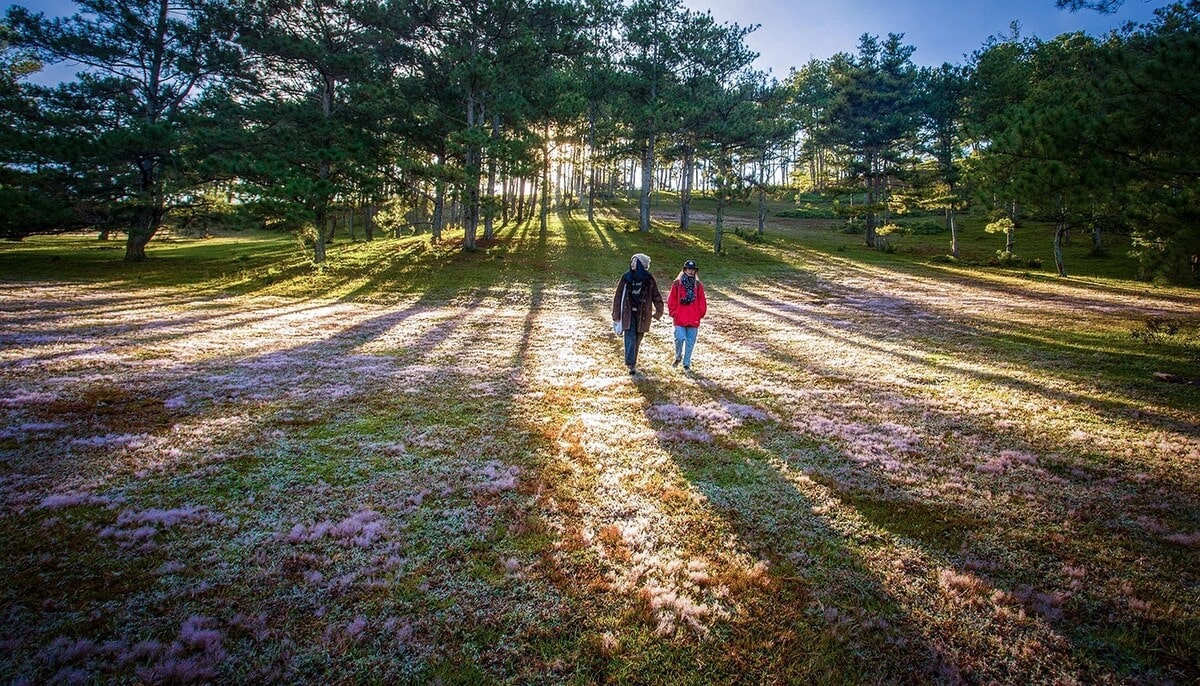 Thời điểm du lịch Đà Lạt