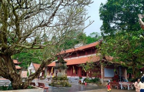 Chùa Thanh Mai: Thăm ngôi cổ tự có rừng phong tuyệt đẹp